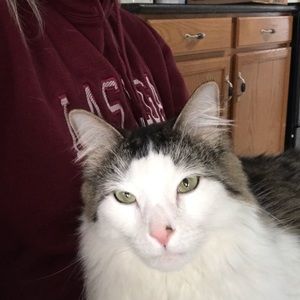 Meet your Posher, Diane